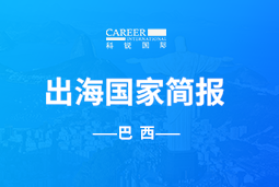 大富豪棋牌最新官网版GO GLOBAL | 巴西国家简报